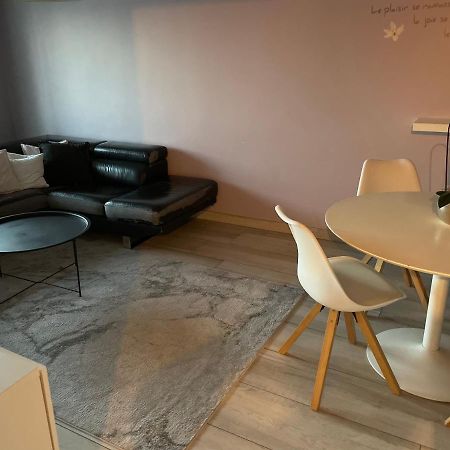 Superbe Appartement Avec Place De Parking Gratuit Strasbourg Bagian luar foto